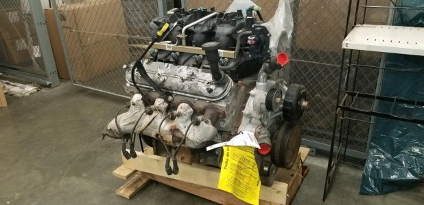 LS4.jpg
