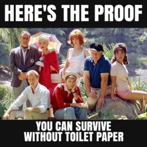 Survive Without TP.jpg