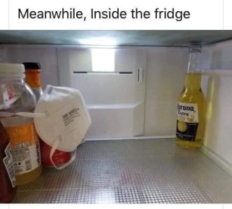 1583800449553-jpeg.65822.jpg
