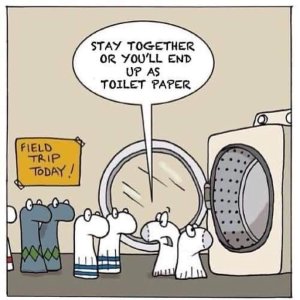 TP 5.jpg