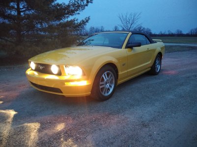 Mustang GT Conv..jpg