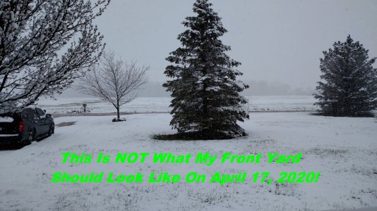 Snow 4-17-2020.jpg
