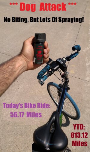 Bike Ride 6-6-2020.jpg