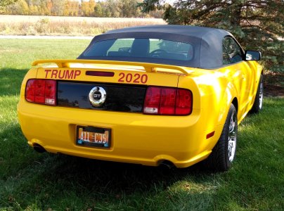 Trump 4 .jpg