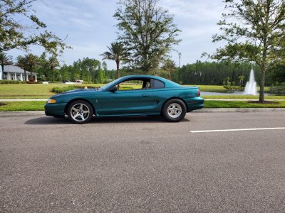 sn95.jpg