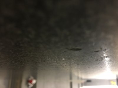6ED00A4F-B17F-4498-9988-3E1590068628.jpeg