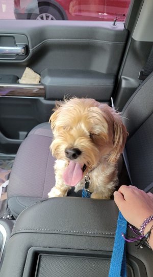 toby.jpg