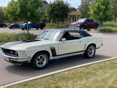 Stang.jpg