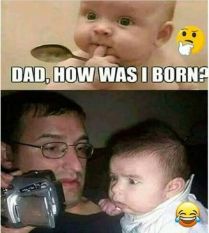 1645210486_image_mmthumb.jpg