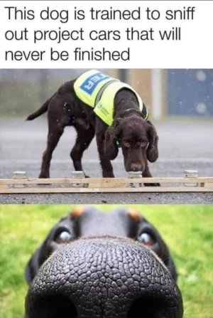 1647220268_886f77c1-7be7-4b5f-bf40-3a049c026cba_mmthumb.jpeg
