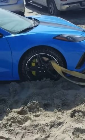 Vette Strap .JPG