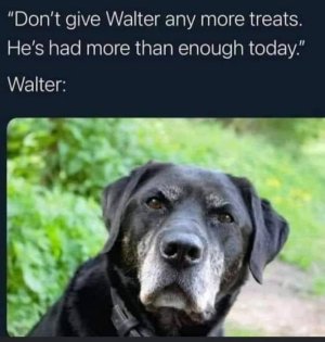 9451C697-2DDA-4E49-A90D-59FC7F101B43.jpeg