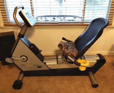 Bills Recumbent .jpg