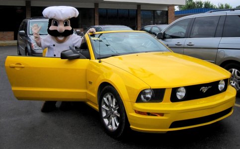 Mustang SWL - EM.jpg Mustang SWL - EM.jpg