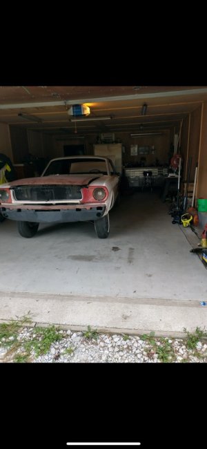 IMG_0061.jpeg