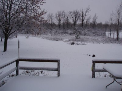 PB210006.JPG