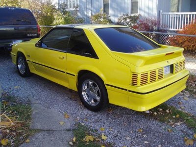 resized yellow.JPG