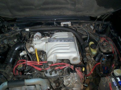 93cobra3.jpg