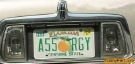 ass-orangey.jpg
