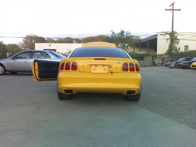 stang3.jpg