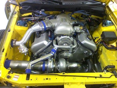 stang 1.jpg