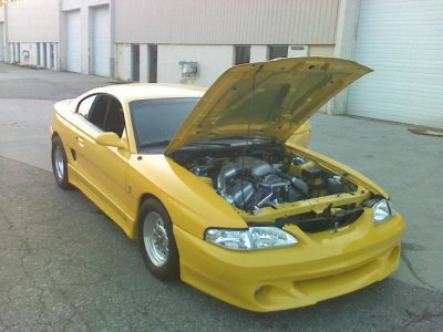 stang 2.jpg