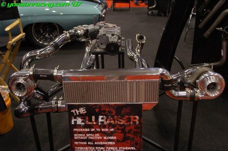 Sema%20Hellion.jpg