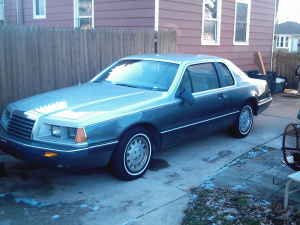 T Bird 2.jpg