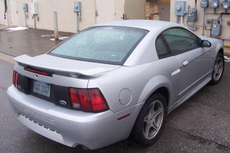 mustang 014.jpg