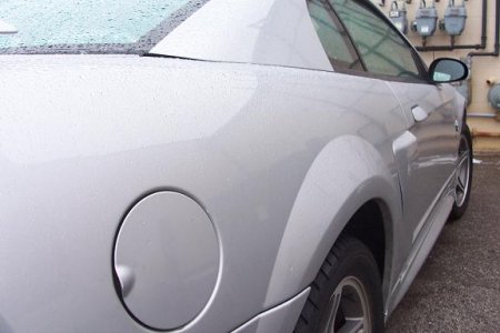 mustang 011.jpg