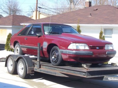 G-stang passfront-small.jpg