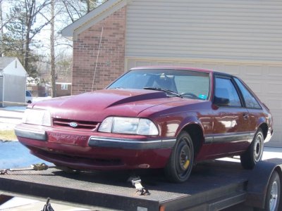 G-stang driverfront-small.jpg