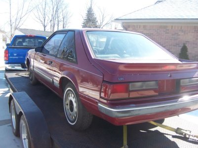 G-stang driverrear-small.jpg