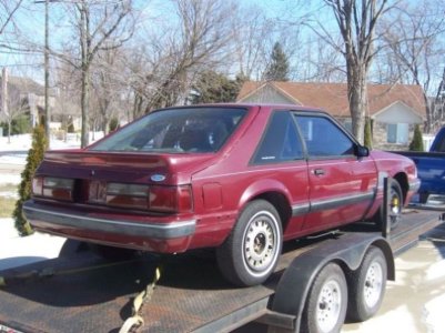 G-stang passrear-small.jpg