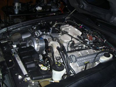 Picture 007.jpg