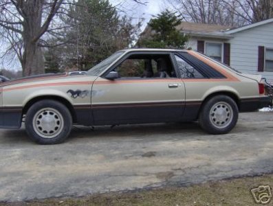 79 Pace Car.jpg