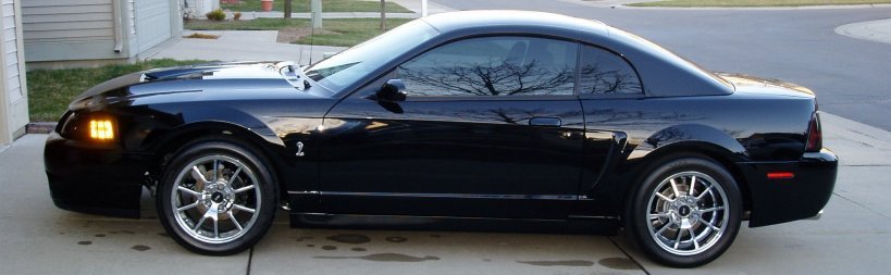 P1010035a.jpg
