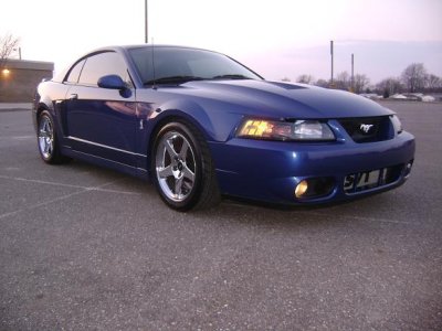 cobra03.jpg