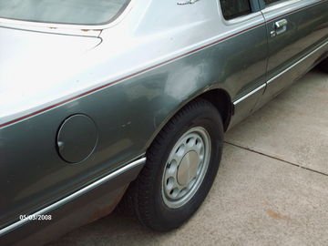 TBird 2.jpg