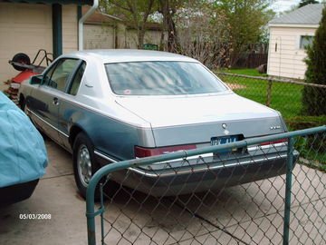 TBird 4.jpg