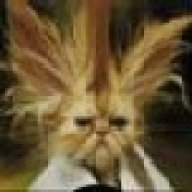 NTIMID8
