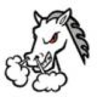 mustangjoe87