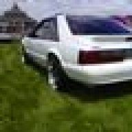 mustang 55