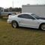 MustangMorelli