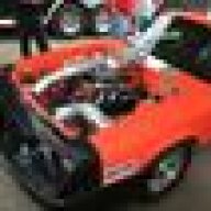 Tims86