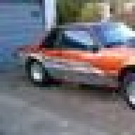 foxguru55