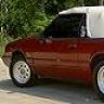 Detroit Muscle