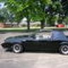 horsestang86