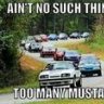 2MANYMUSTANGS