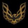 Blackbirdws6zzz